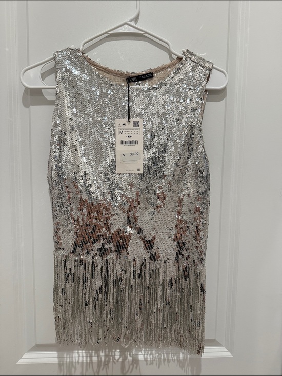 Zara Dresses & Skirts - ZARA Silver Sequin Fringe Mini Dress with Rose-Gold Accents
